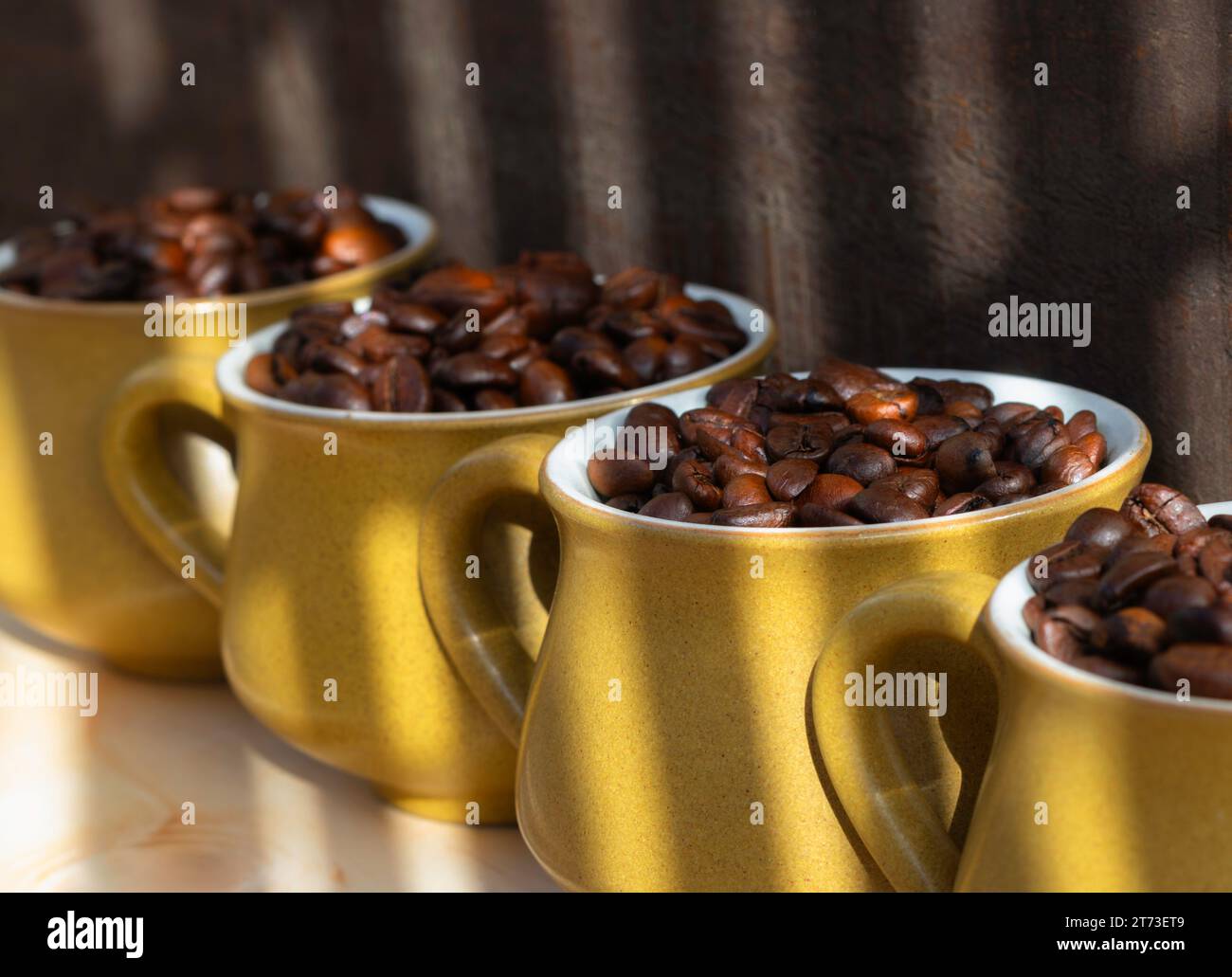 Une rangée de 4 tasses à café couleur moutarde, remplies de grains de café sur un fond de bois avec des lignes ombragées à travers eux Banque D'Images