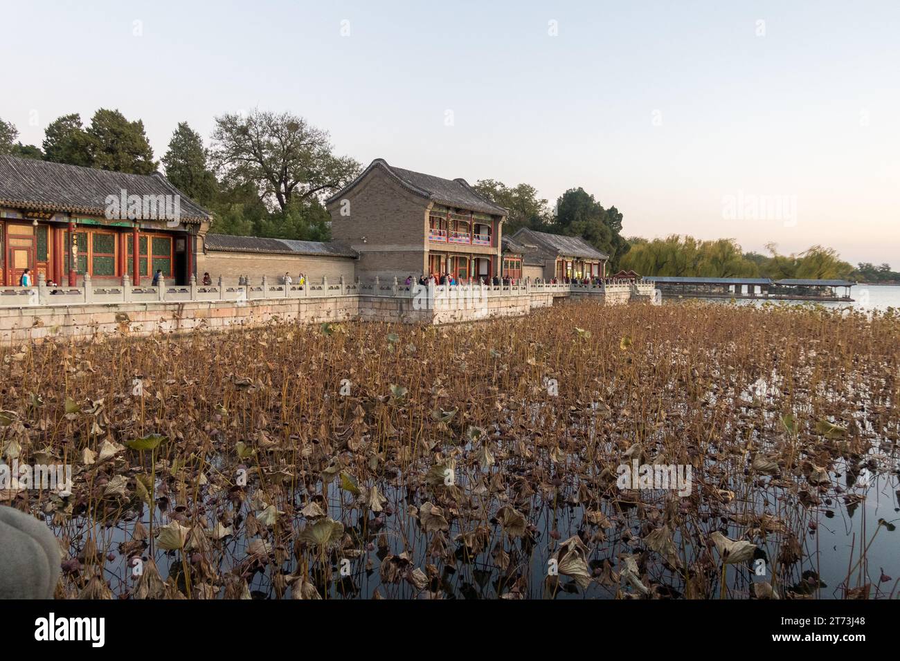 Ancien palais d'été ou parc Yuanming, jardin d'une clarté parfaite est un ancien palais impérial, construit au 17e siècle. Banque D'Images