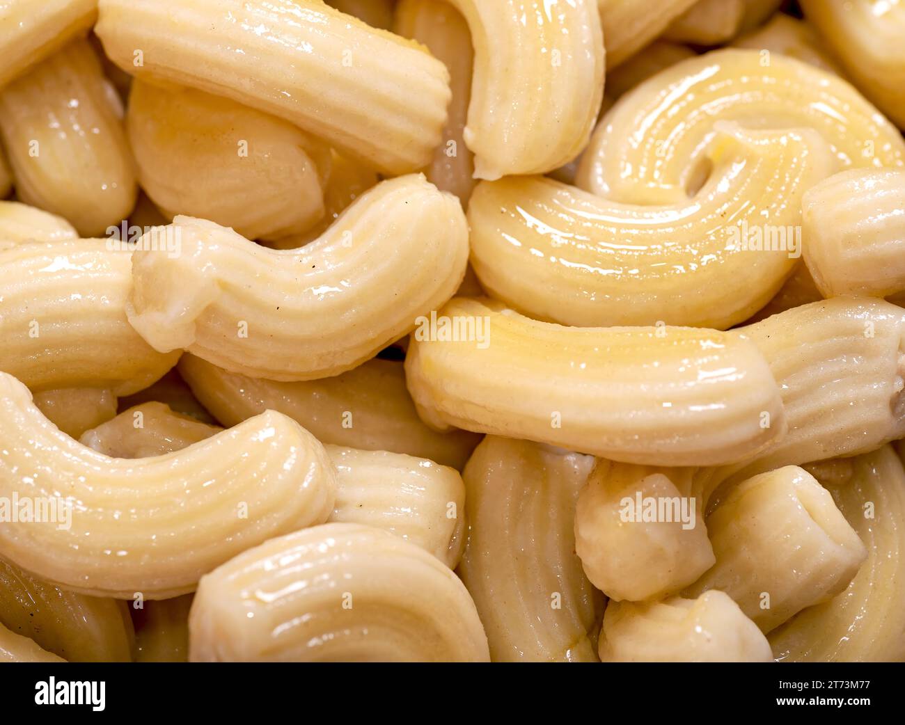 Fond à base de pâtes italiennes tortiglioni Banque D'Images