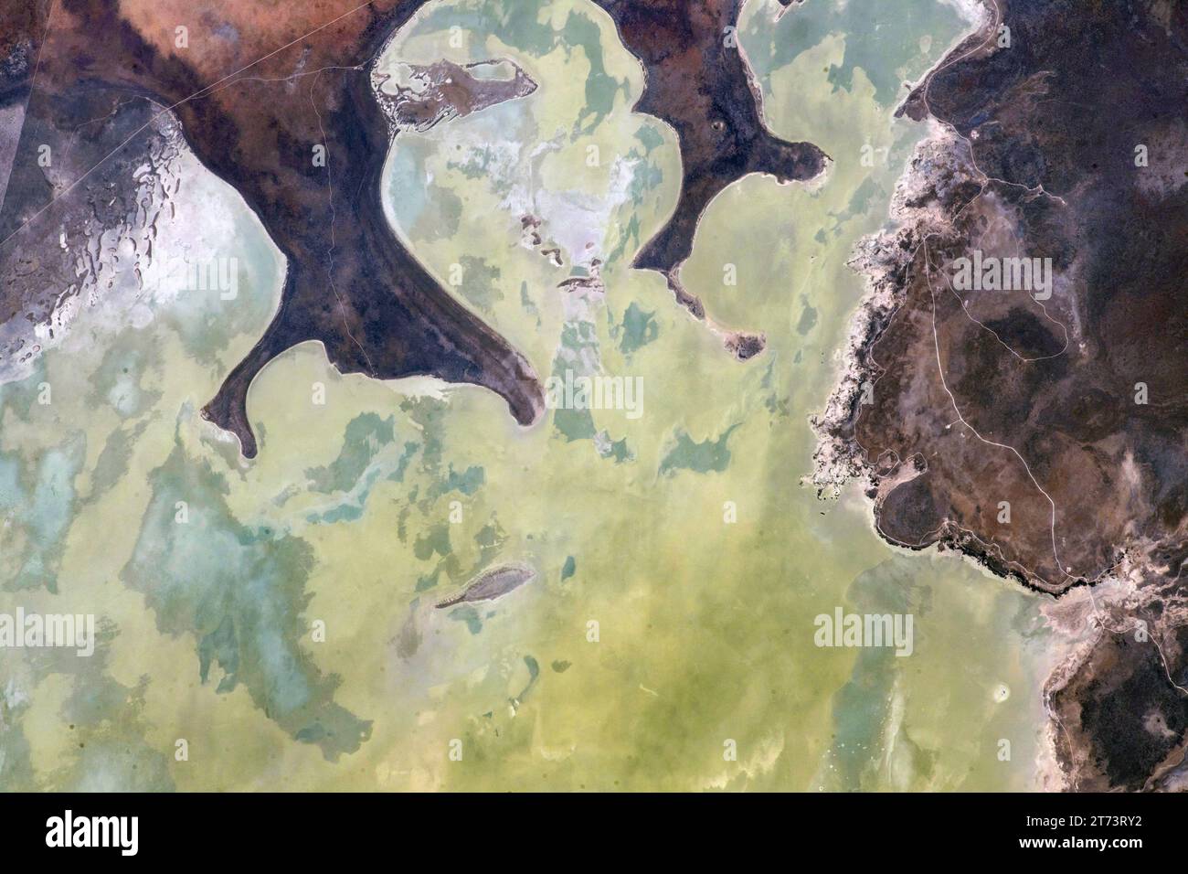 NAMIBIE, TERRE- 02 novembre 2023 - le parc national d'Etosha est un mélange de désert et de savanes dans le nord-ouest de la Namibie. L'Etosha Pan, sur la photo ici, domin Banque D'Images