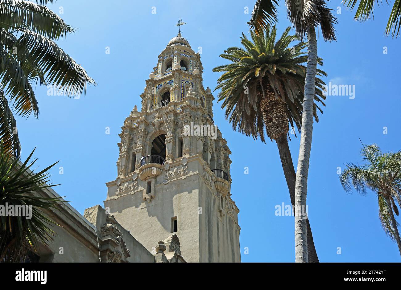 Tour de Californie et palmier - San Diego, Californie Banque D'Images