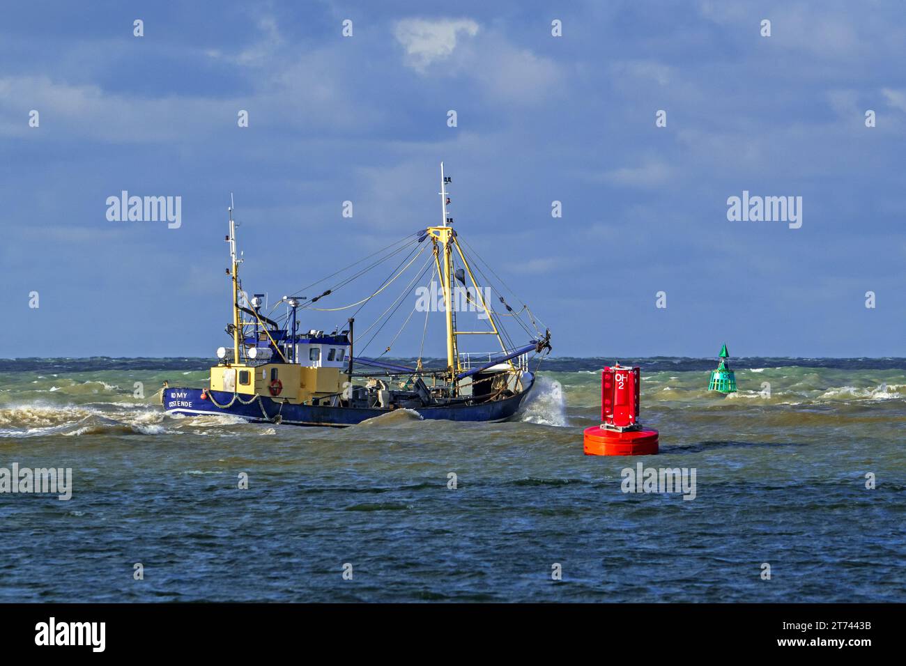 Crevette coupeur 0,191 Romy quittant le port d'Ostende pour aller au chalutage de fond pour les crevettes le long de la côte de la mer du Nord par une journée orageuse, en Belgique Banque D'Images