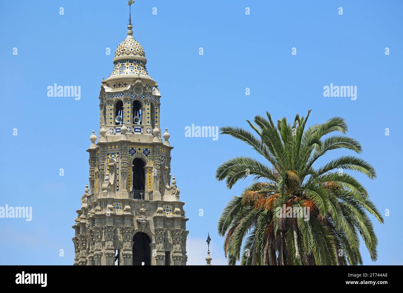 Tour de Californie et palmier, San Diego, Californie Banque D'Images