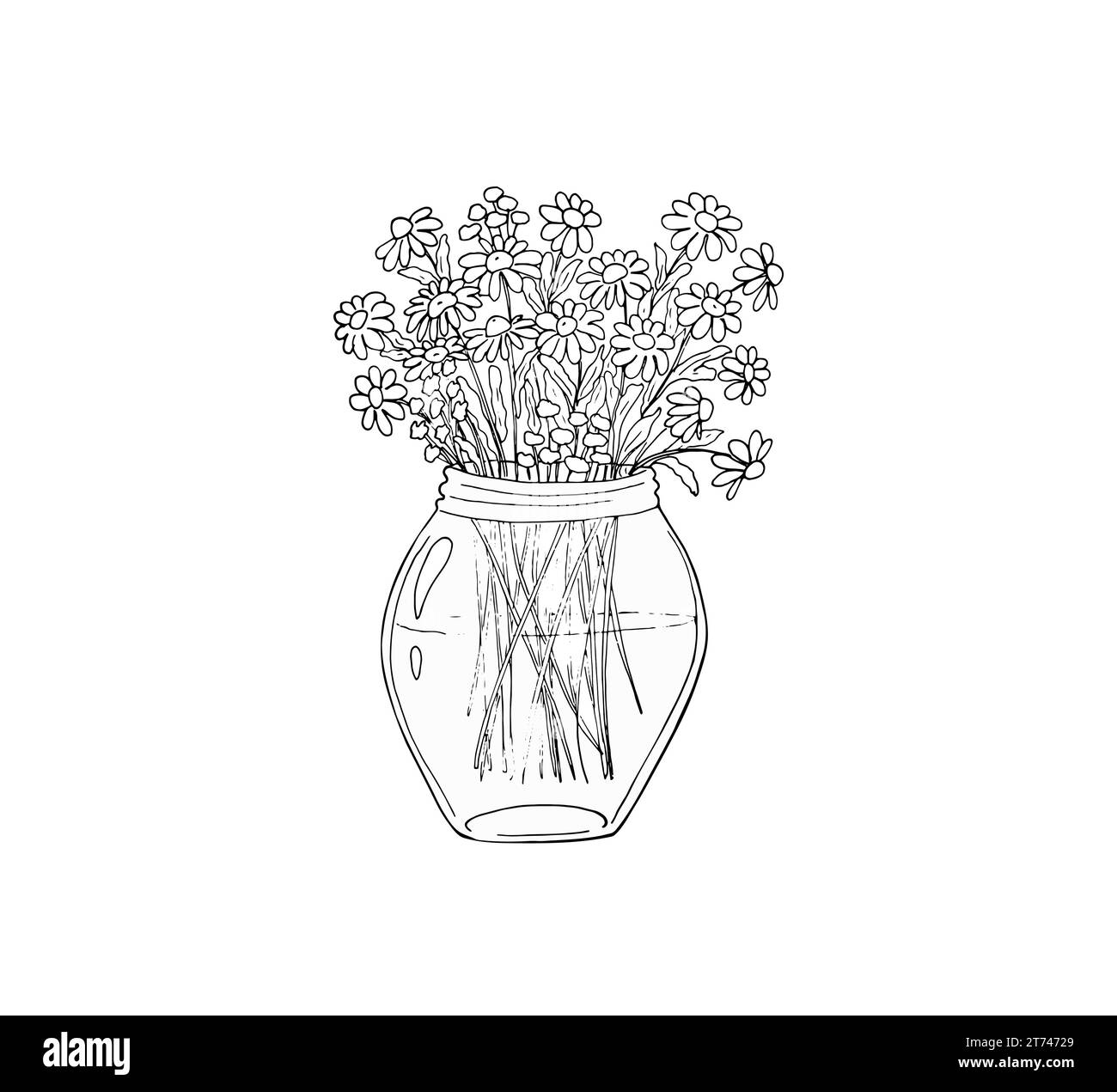 Bouquet de fleurs dans un pot de vase.bouquet Doodle, fleurs de camomille dessinées à la main. Bouquet de marguerites dans un bocal, un cadeau romantique pour les vacances. Flux simple Illustration de Vecteur