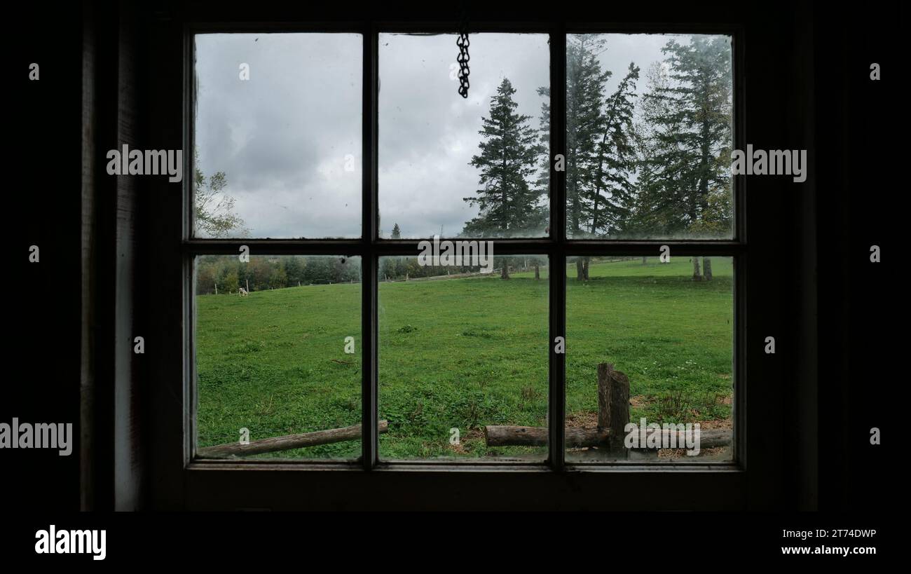 Une vue d'un champ d'herbe verte luxuriante vue à travers la fenêtre d'un intérieur confortable de la maison Banque D'Images