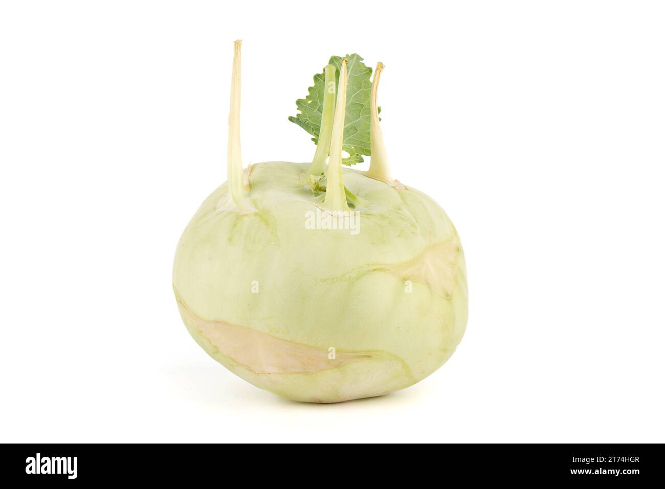 Une tête entière de chou chou-rave sur fond blanc. Chou-rave lat. Brassica oleracea var. Gongylodes est une plante alimentaire herbacée biennale A botanica Banque D'Images