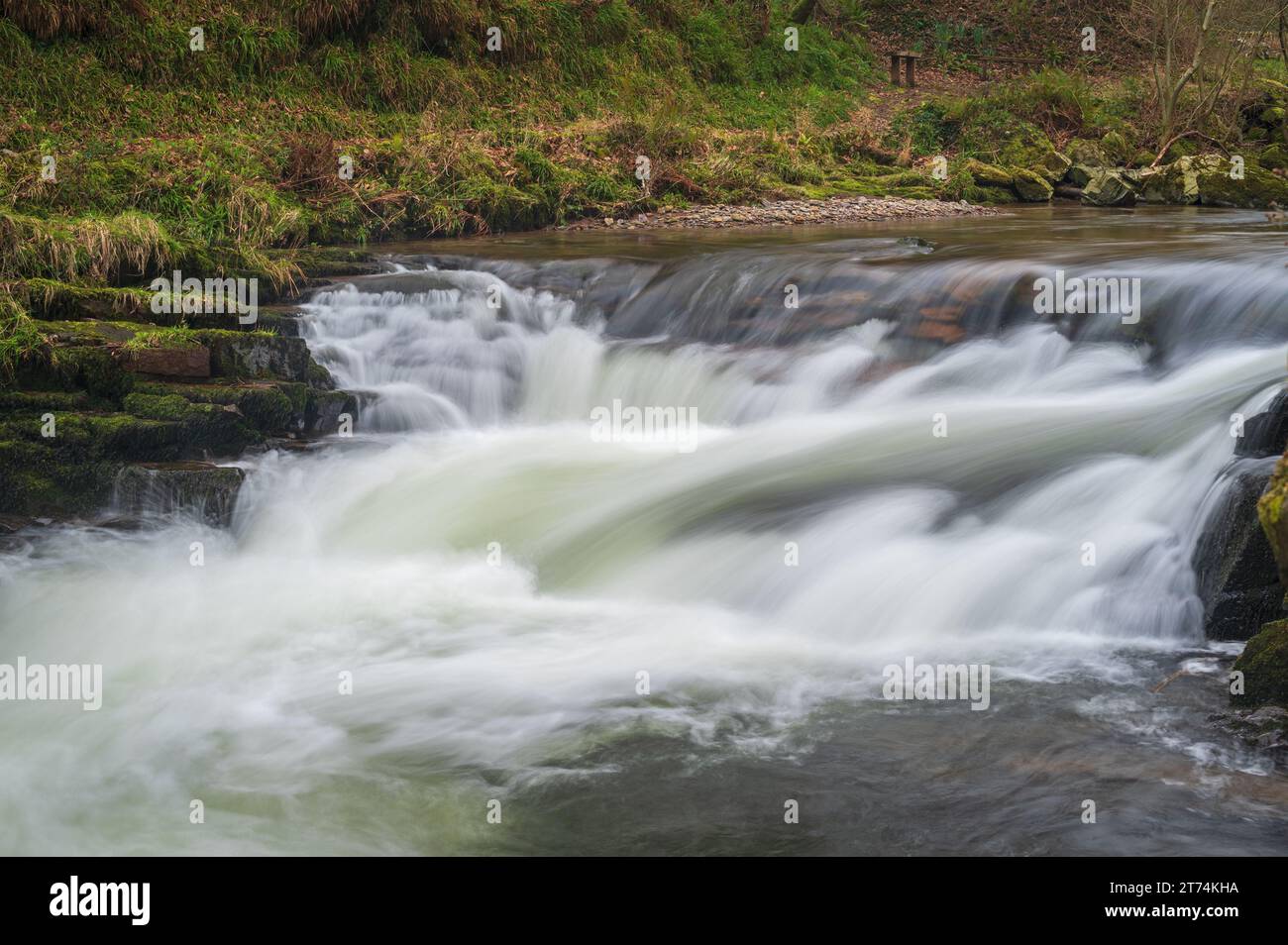 Eau qui coule rapidement sur les rivières à National Trusts Watersmeet à North Devon, Devon, Angleterre, Royaume-Uni. Partie du parc national Exmoor. Banque D'Images