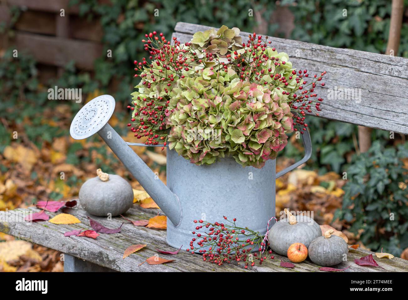 bouquet de fleurs d'hortensia et de hanches roses dans un arrosoir vintage Banque D'Images