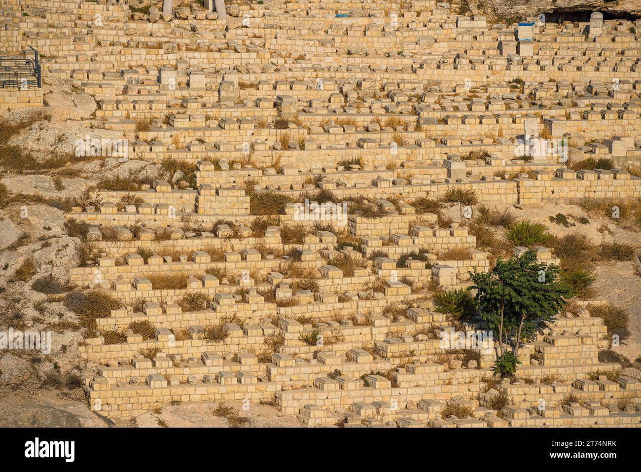 Vue du cimetière du Mont des oliviers un ancien lieu de sépulture juif à Jérusalem, Israël Banque D'Images