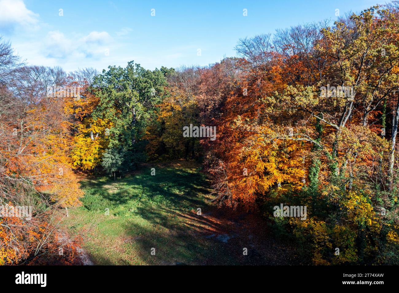 Beau paysage forestier d'automne d'un drone en Pologne. Banque D'Images
