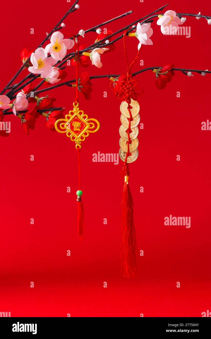 Beau concept du nouvel an chinois 2 Banque D'Images