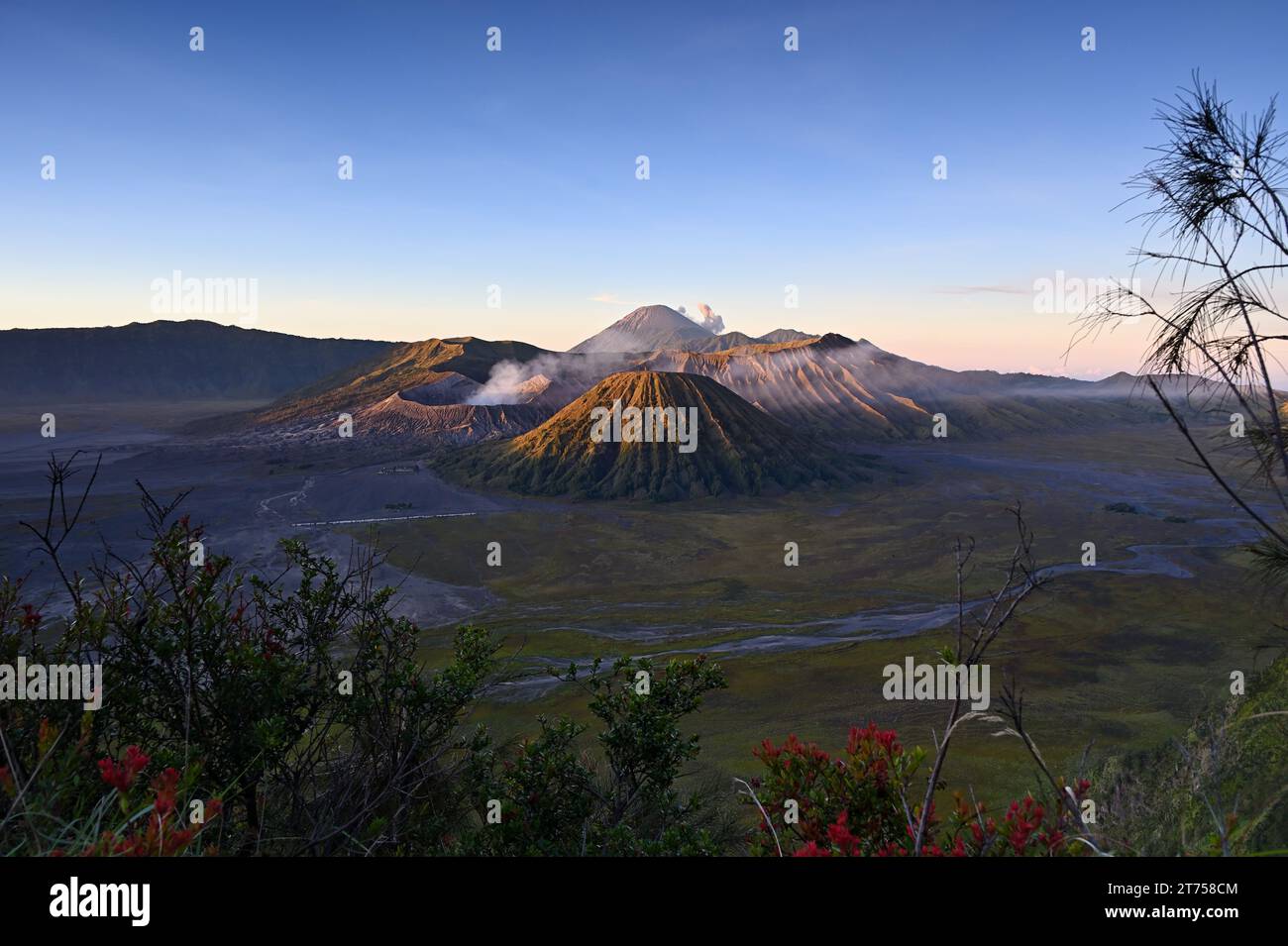 Volcan du Mont Bromo et mer de sable à l'aube. Cemoro Lawang, Java oriental, Indonésie Banque D'Images