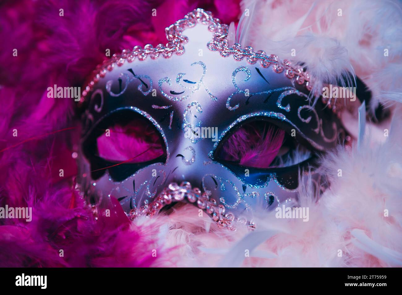 Gros plan carnaval masque vénitien plumes douces Banque D'Images