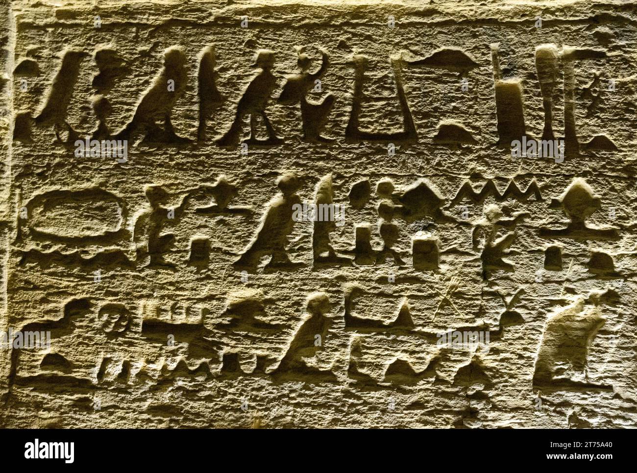 SAQQARA, ÉGYPTE - 23 MARS 2023 : anciens textes hiéroglyphiques d'Egyp sur les murs de la nécropole de Saqqara, Égypte Banque D'Images