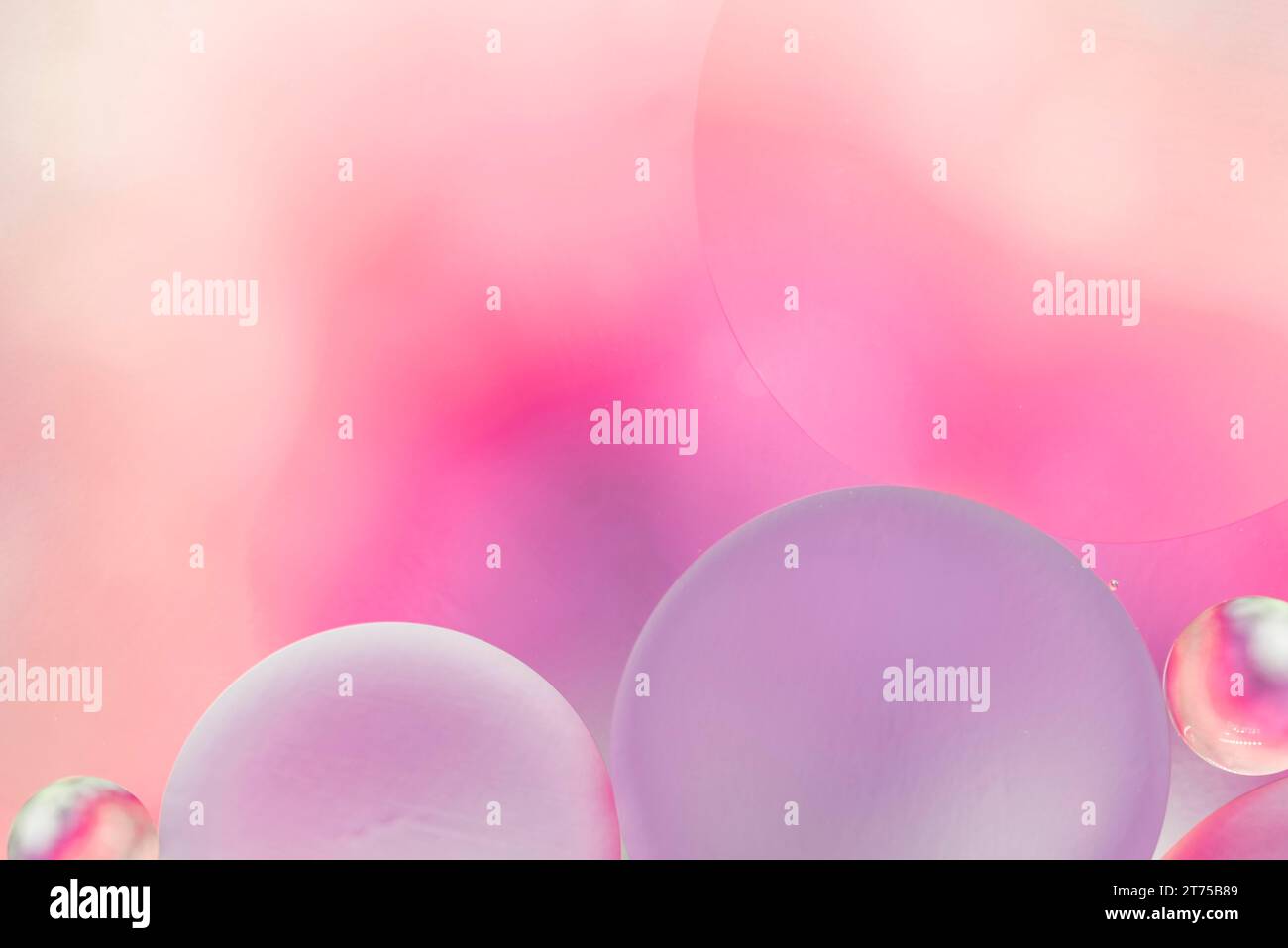 Fond de bulles d'huile violet rose doux Banque D'Images