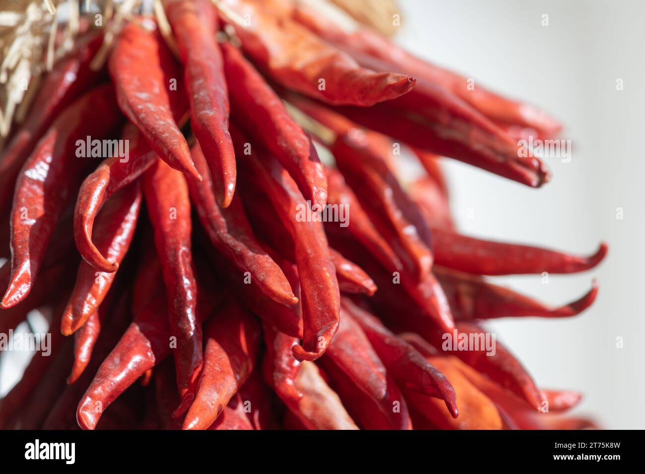 Gros plan d'une ristra rouge de chili, poivrons rouges séchés attachés ensemble pour créer un affichage décoratif. Banque D'Images