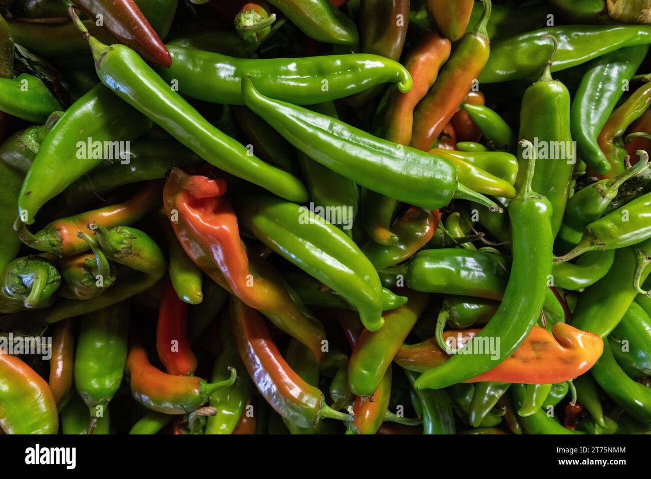 Gros plan d'un boisseau de poivrons verts frais du chili, nourriture épicée, sud-ouest, automne, produits biologiques, vert et rouge Banque D'Images