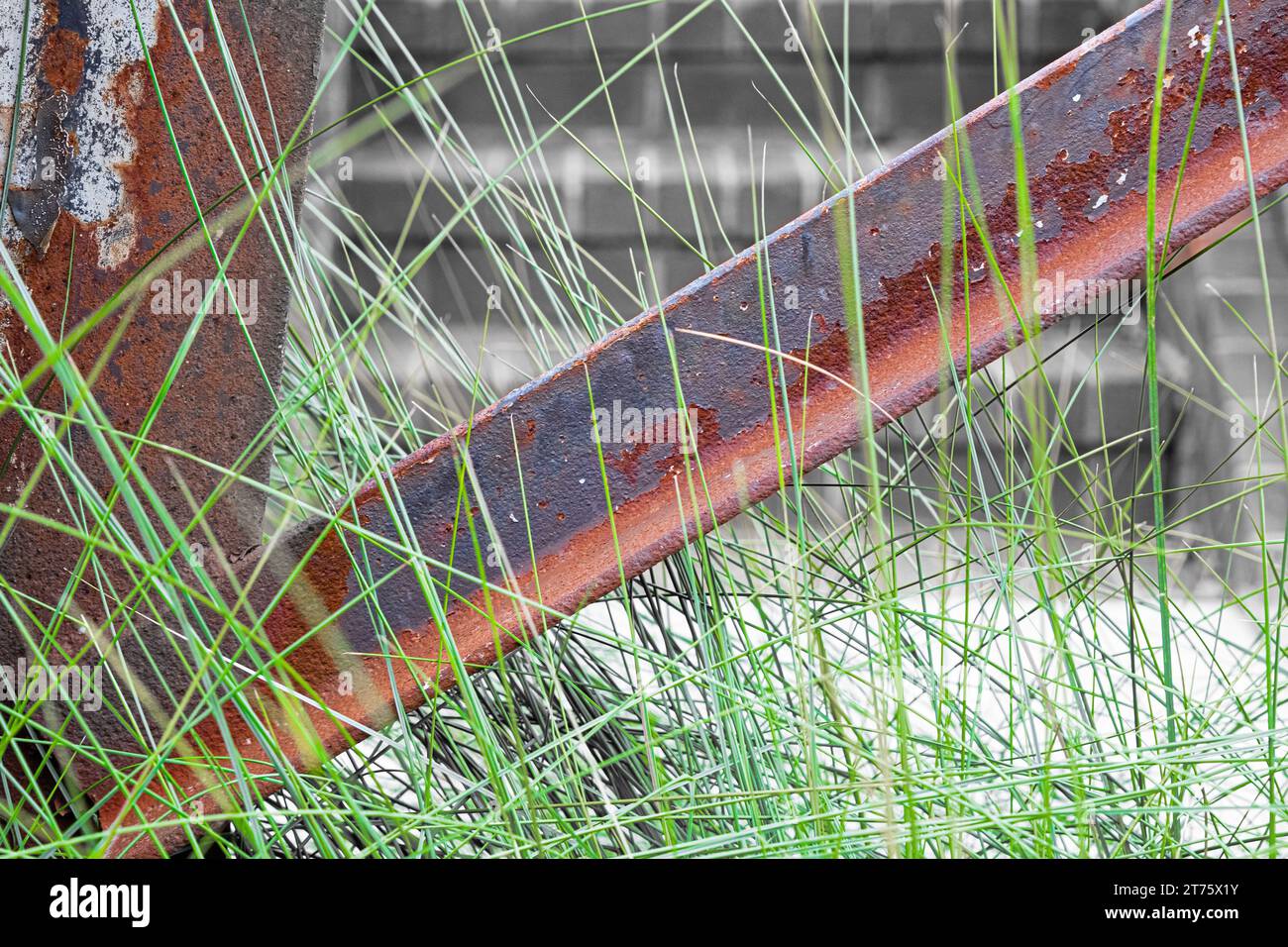 Supports métalliques rouillés et brins d'herbe Banque D'Images