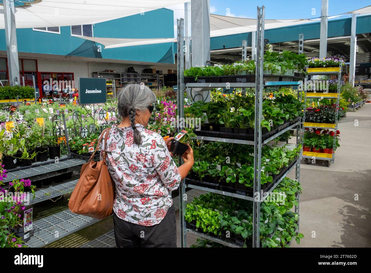 Femme d'âge moyen magasinant des plantes dans un centre de jardinage Bunnings en Australie Banque D'Images