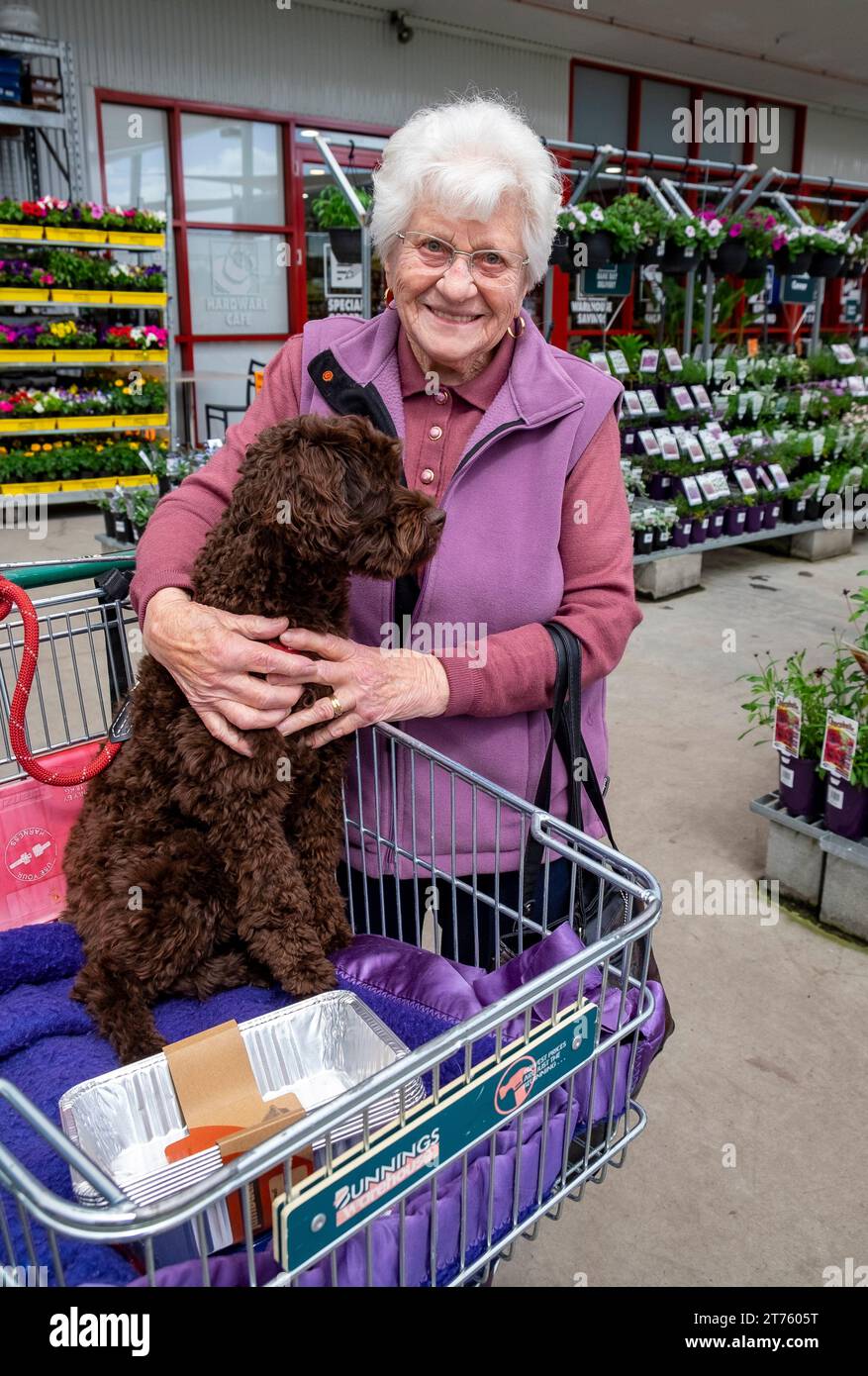 Migrante italienne de 92 ans avec un chien dans un centre de jardinage en Tasmanie Banque D'Images