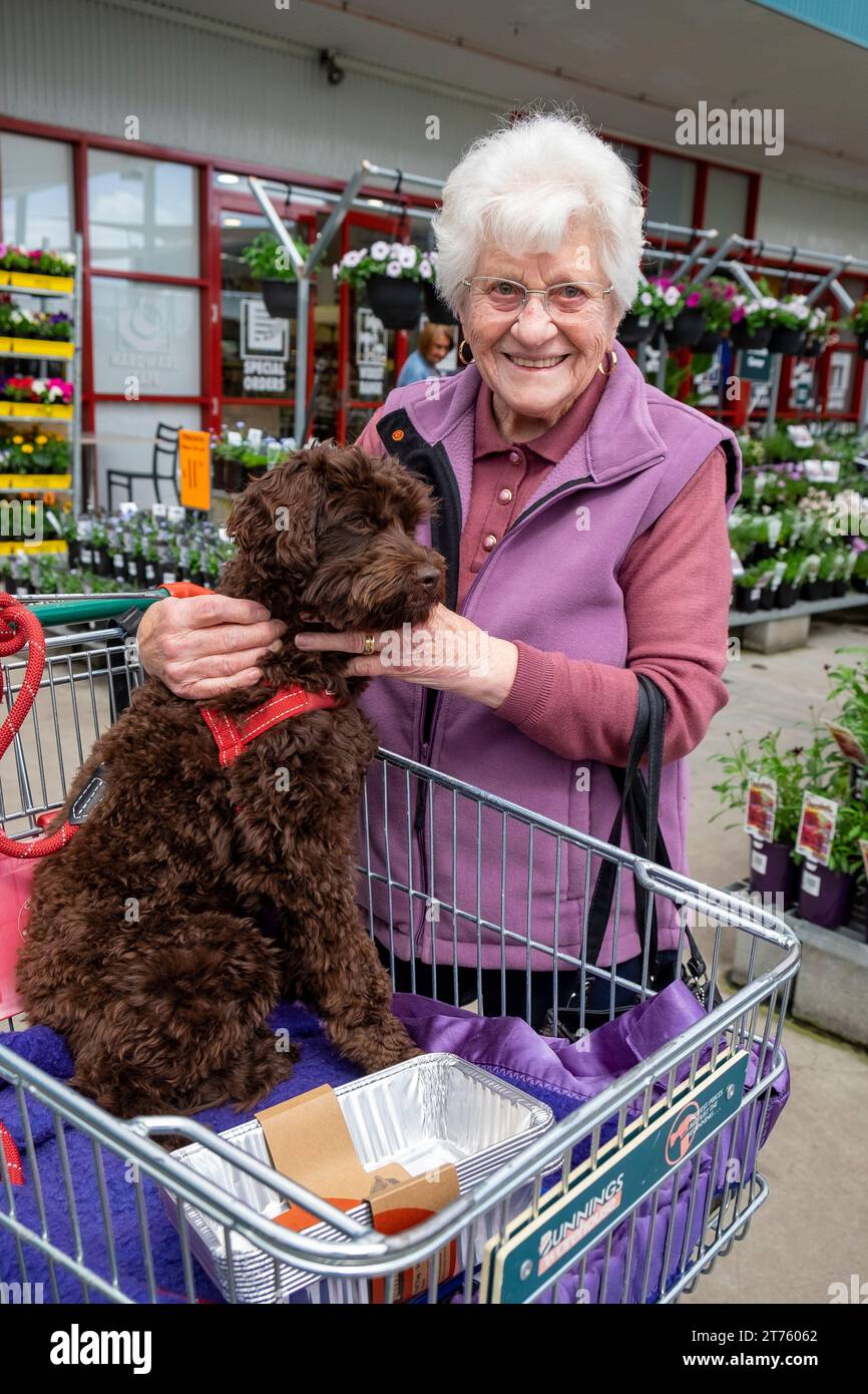 Migrante italienne de 92 ans avec un chien dans un centre de jardinage en Tasmanie Banque D'Images