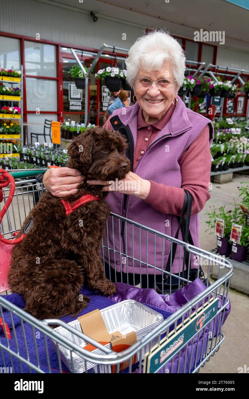 Migrante italienne de 92 ans avec un chien dans un centre de jardinage en Tasmanie Banque D'Images