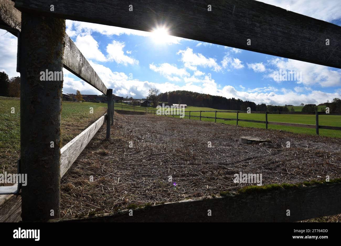 Eggenthal, Allemagne. 11 novembre 2023. La zone d'une terre humide construite en fauve en face du district de Bayersried. Crédit : Karl-Josef Hildenbrand/dpa/Alamy Live News Banque D'Images