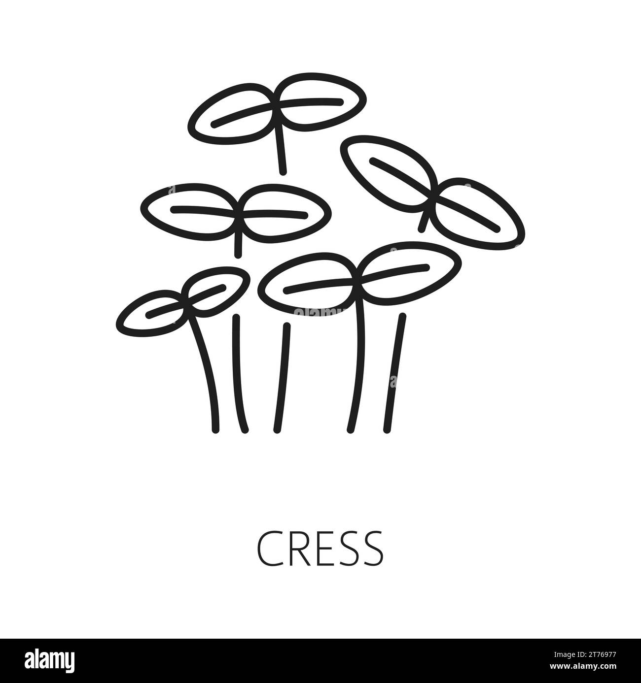 Icône de contour isolé de salade de cresson. Nourriture saine végétalienne crue biologique. Ingrédient végétalien pour le dîner. Épice aux herbes nutritives saines Illustration de Vecteur