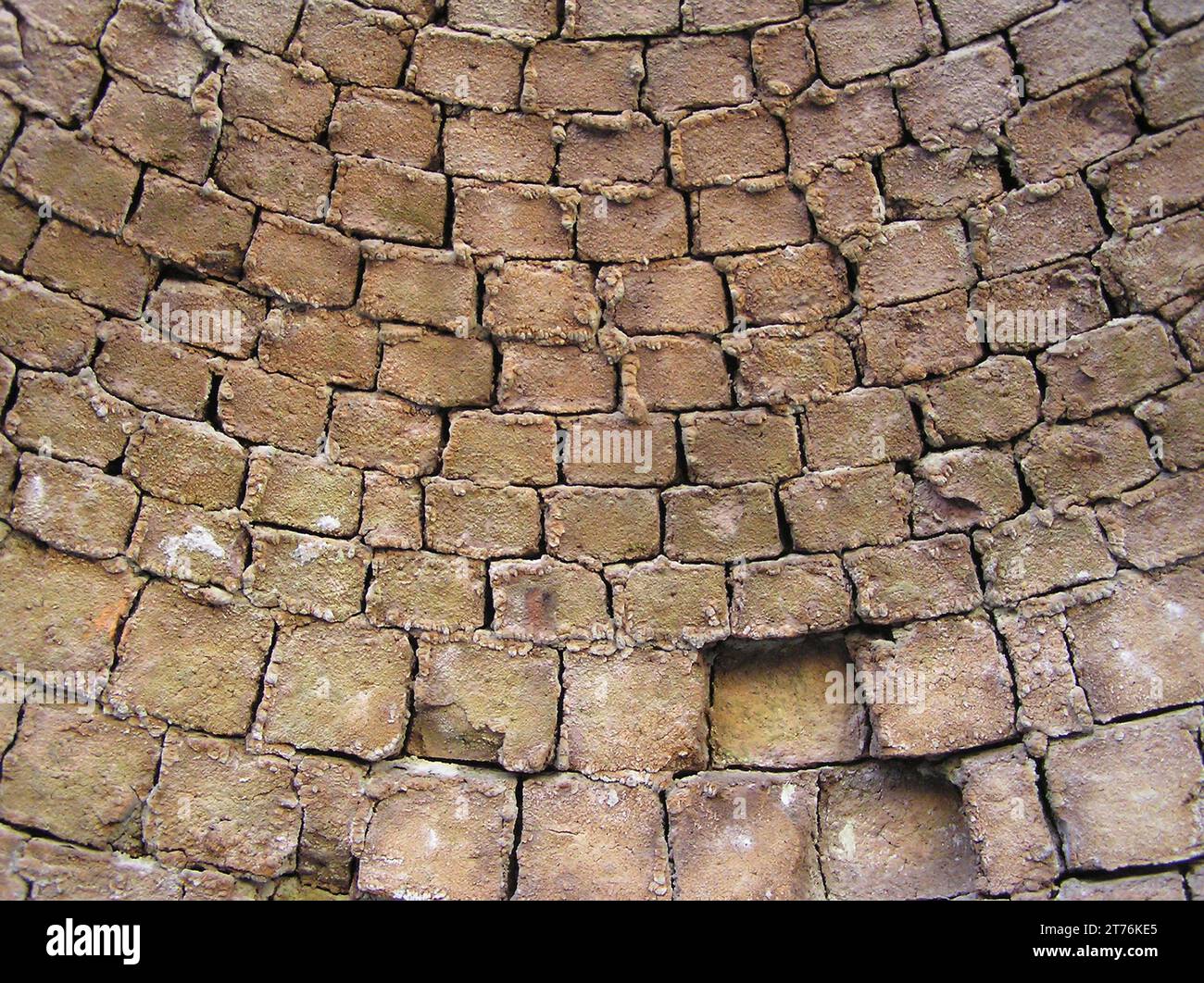 Mur de briques incurvé à l'intérieur du four à coke à Brunner Coal Mine, West Coast, South Island, Nouvelle-Zélande Banque D'Images