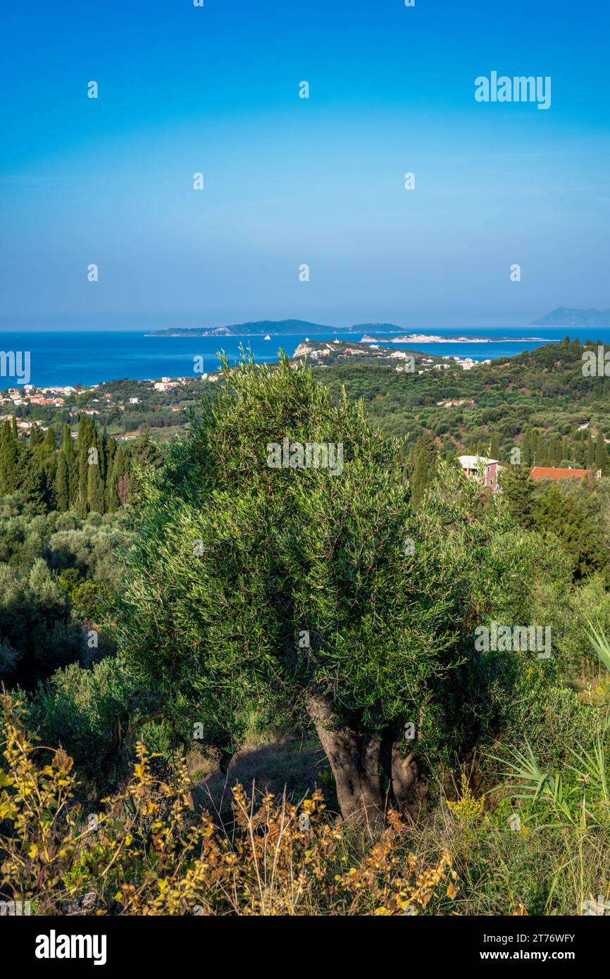 Vue à travers une vallée à la mer sur Corfou, Grèce, UE Banque D'Images