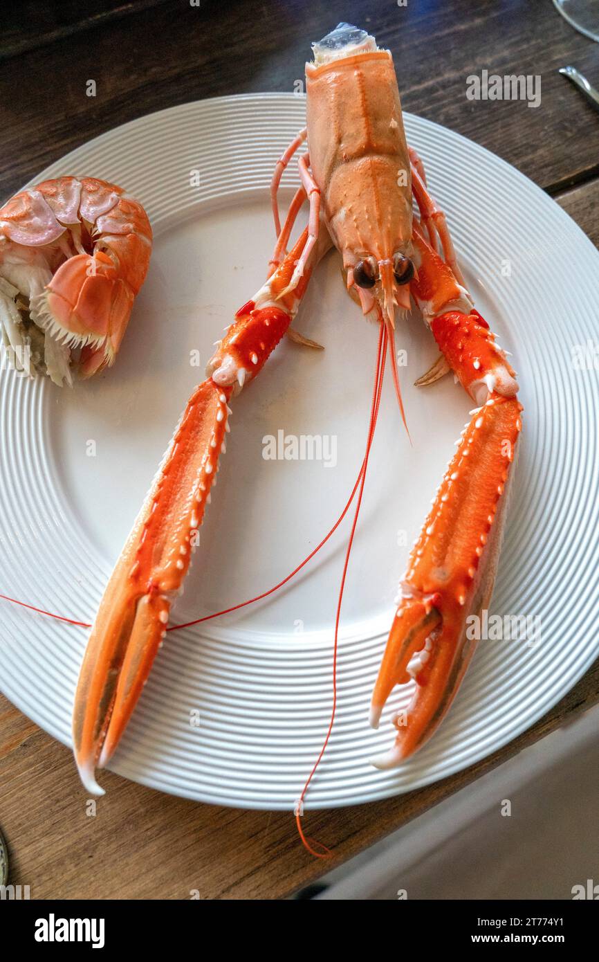 Trondheim 20230927.écrevisses fraîchement bouillies. Photo : Gorm Kallestad / NTB Banque D'Images