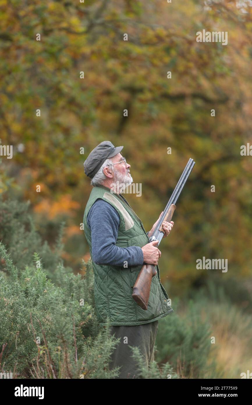 homme âgé avec un fusil de chasse sur un pousse d'oiseau Banque D'Images