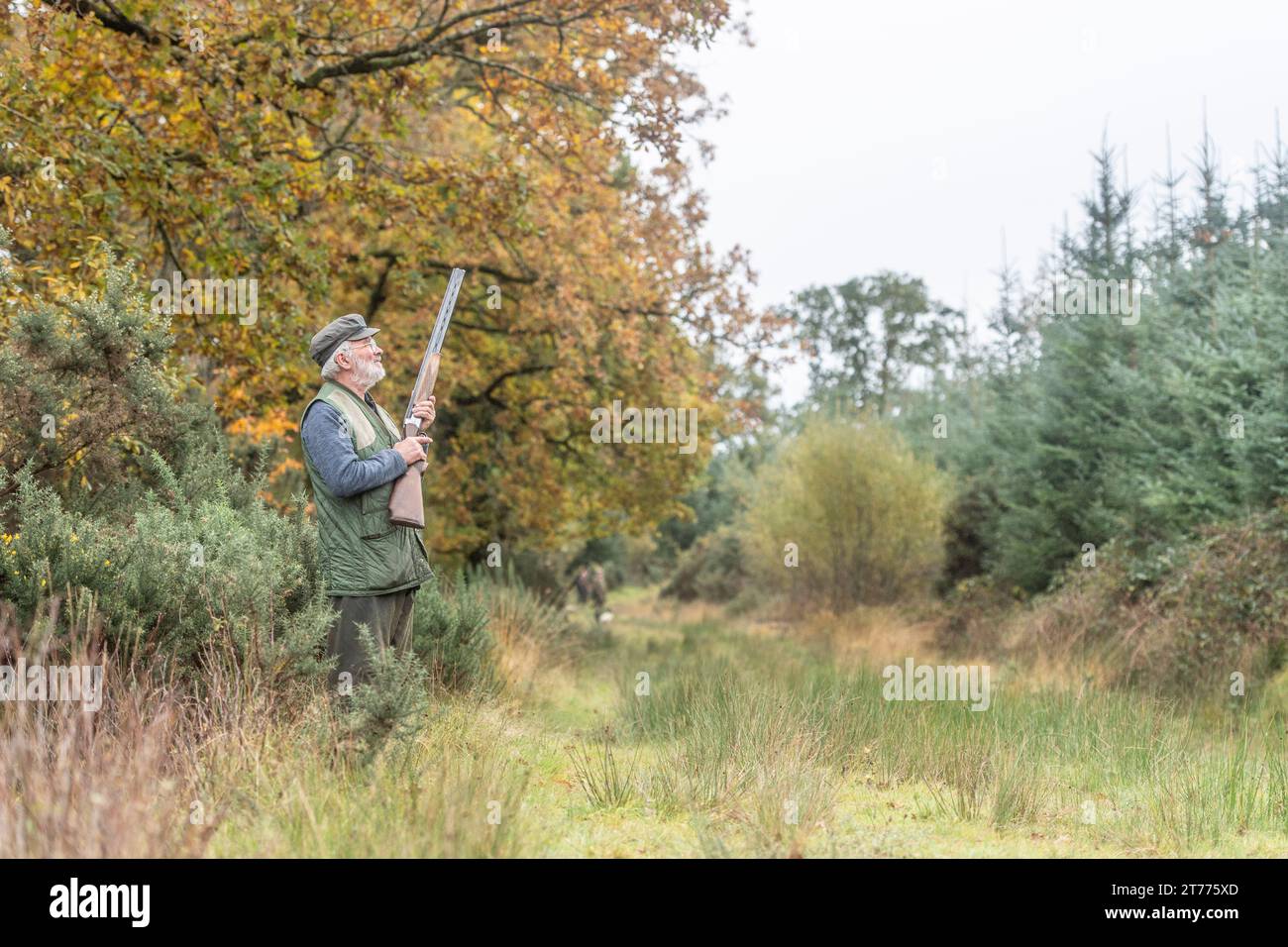 homme âgé avec un fusil de chasse sur un pousse d'oiseau Banque D'Images