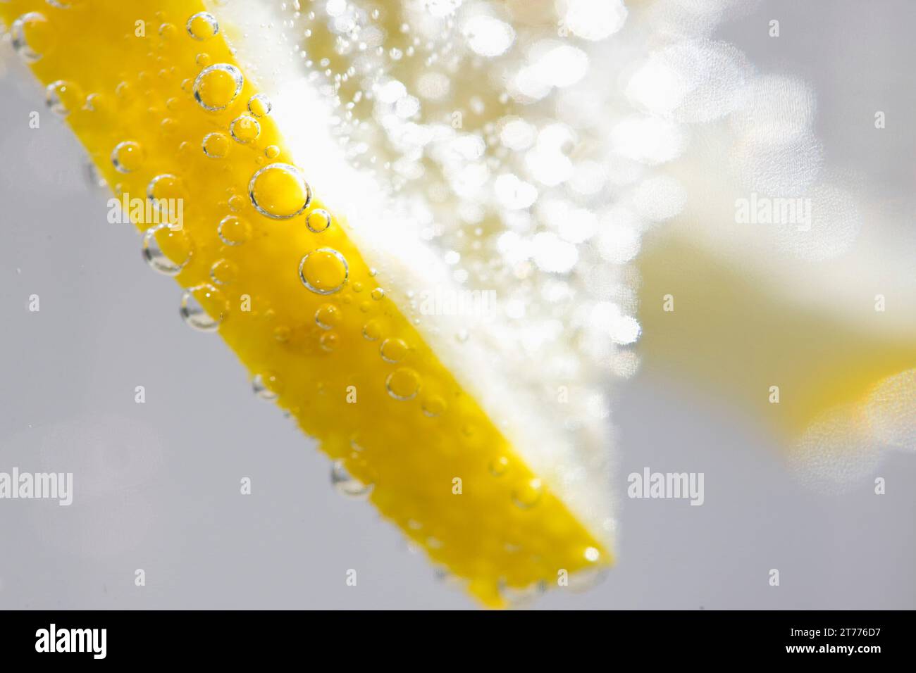 Extreme close up d'une tranche de citron flottant dans l'eau pétillante Banque D'Images