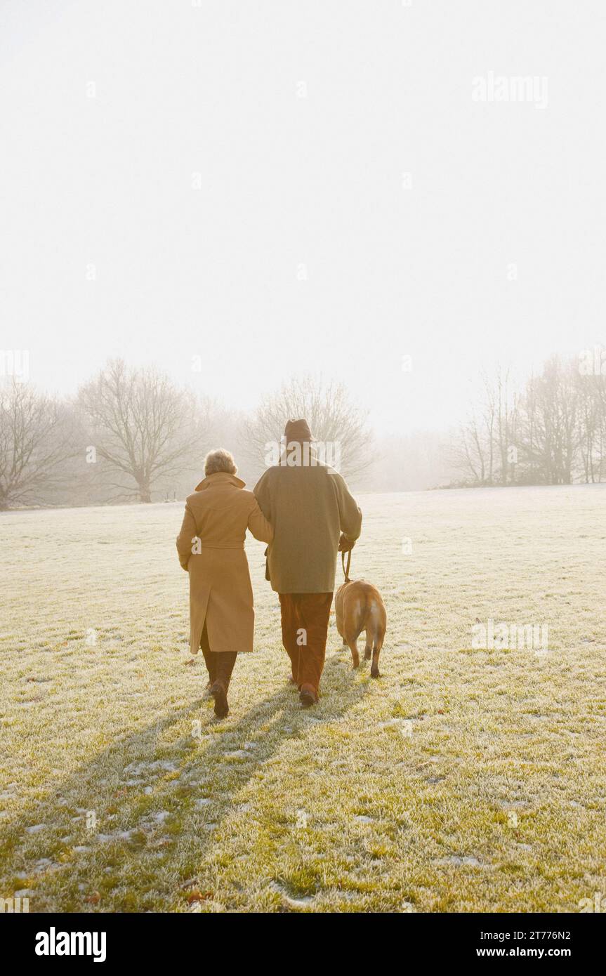 Vue arrière d'un couple en train de marcher avec un chien sur un parc givré Banque D'Images