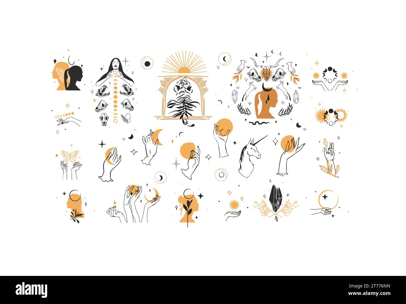 Ensemble de collection d'éléments d'illustration de ligne graphique abstraite de vecteur dessiné à la main, croissant magique, animaux, fleurs, cadres, lune et mains humaines isolées Illustration de Vecteur