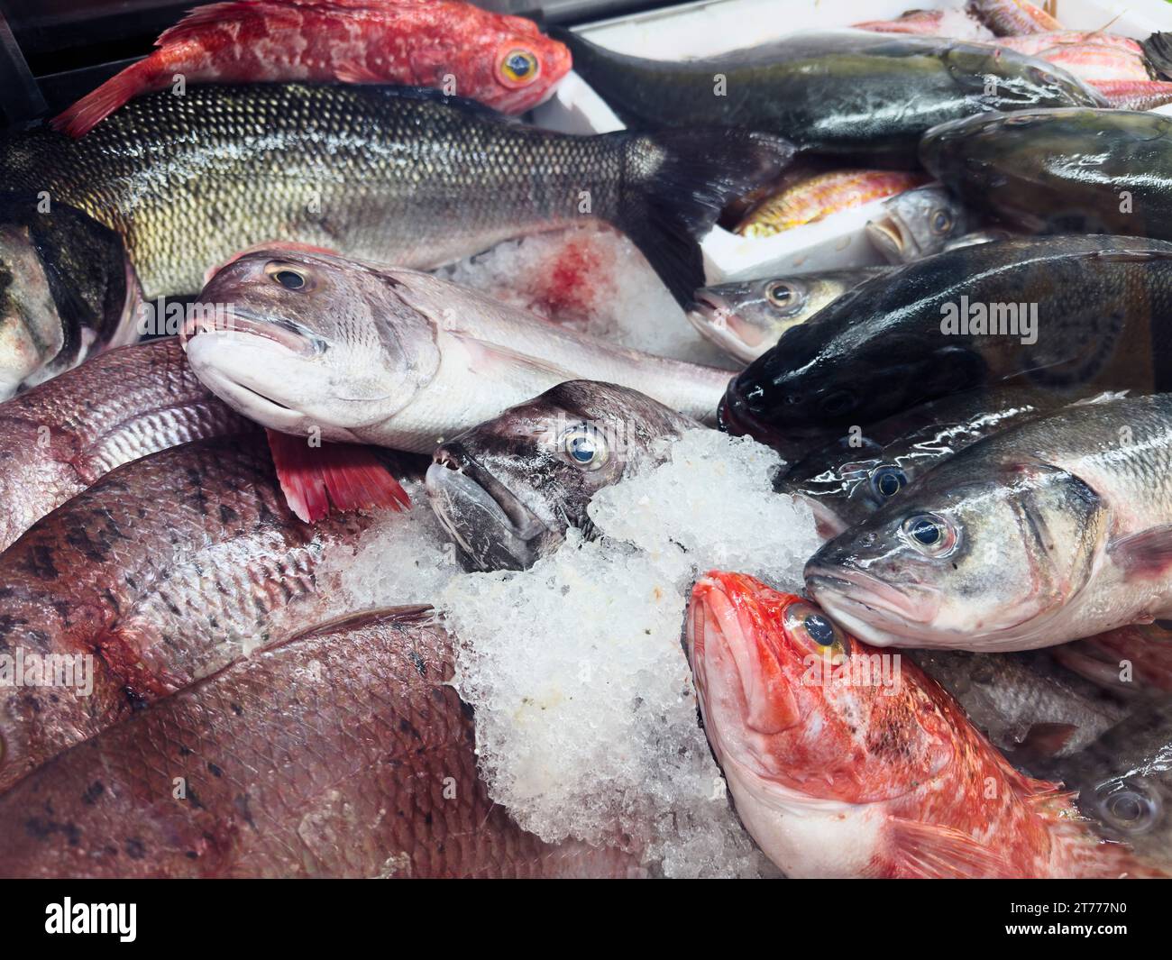 Nature morte poisson frais sur glace Banque D'Images