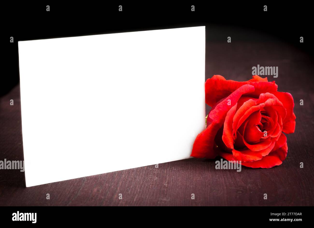 rose rouge et carte-cadeau vierge pour texte sur fond de vieux bois, saint valentin et concept d'amour Banque D'Images
