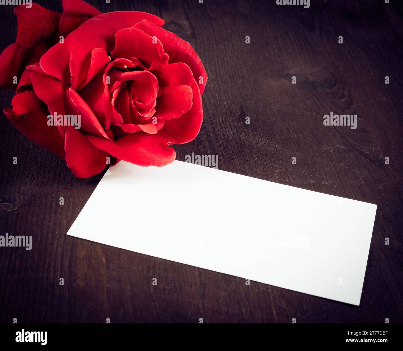 rose rouge et carte-cadeau vierge pour texte sur fond de vieux bois, saint valentin et concept d'amour Banque D'Images