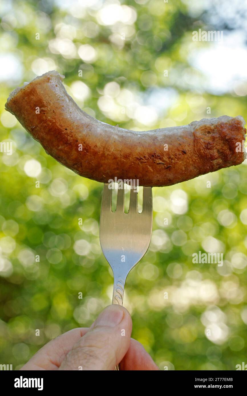 Saucisse avec fourchette. Banque D'Images