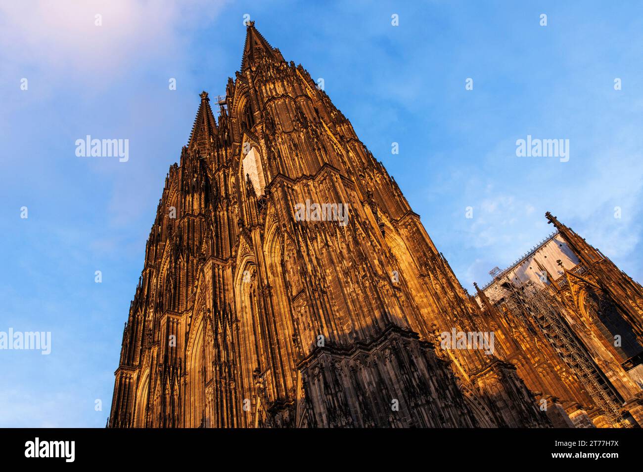La façade ouest de la cathédrale, Cologne, Allemagne. Die Westfassade des Doms, Koeln, Deutschland. Banque D'Images