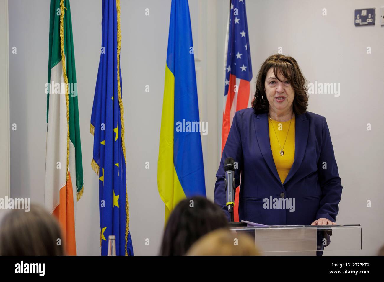 Claire D Cronin, ambassadrice des États-Unis en Irlande, participe à une table ronde sur la désinformation russe, à Europa House, Dublin. Date de la photo : mardi 14 novembre 2023. Banque D'Images