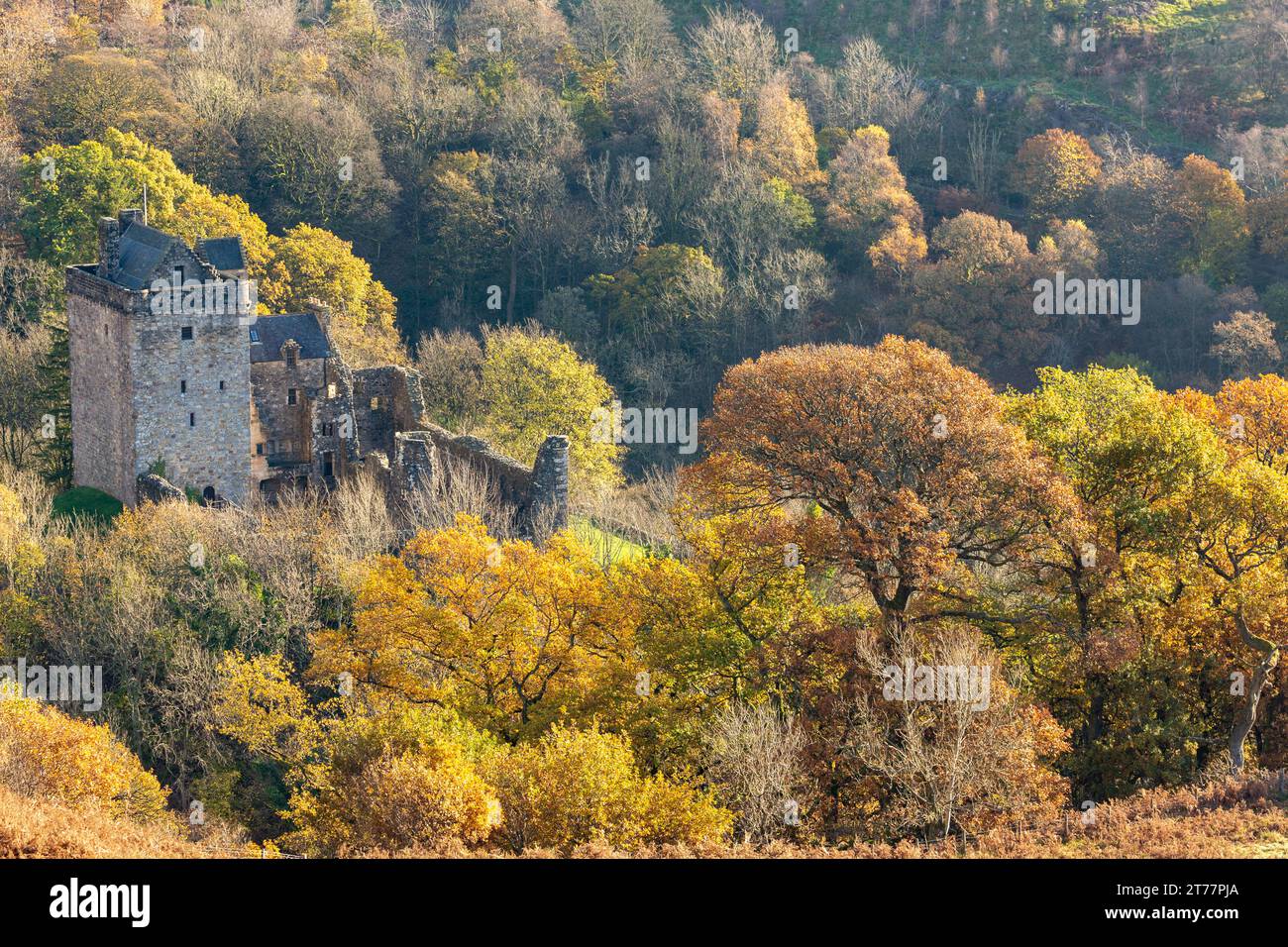 Castle Campbell situé dans les collines d'Ochil à l'air splendide dans les couleurs d'automne Banque D'Images