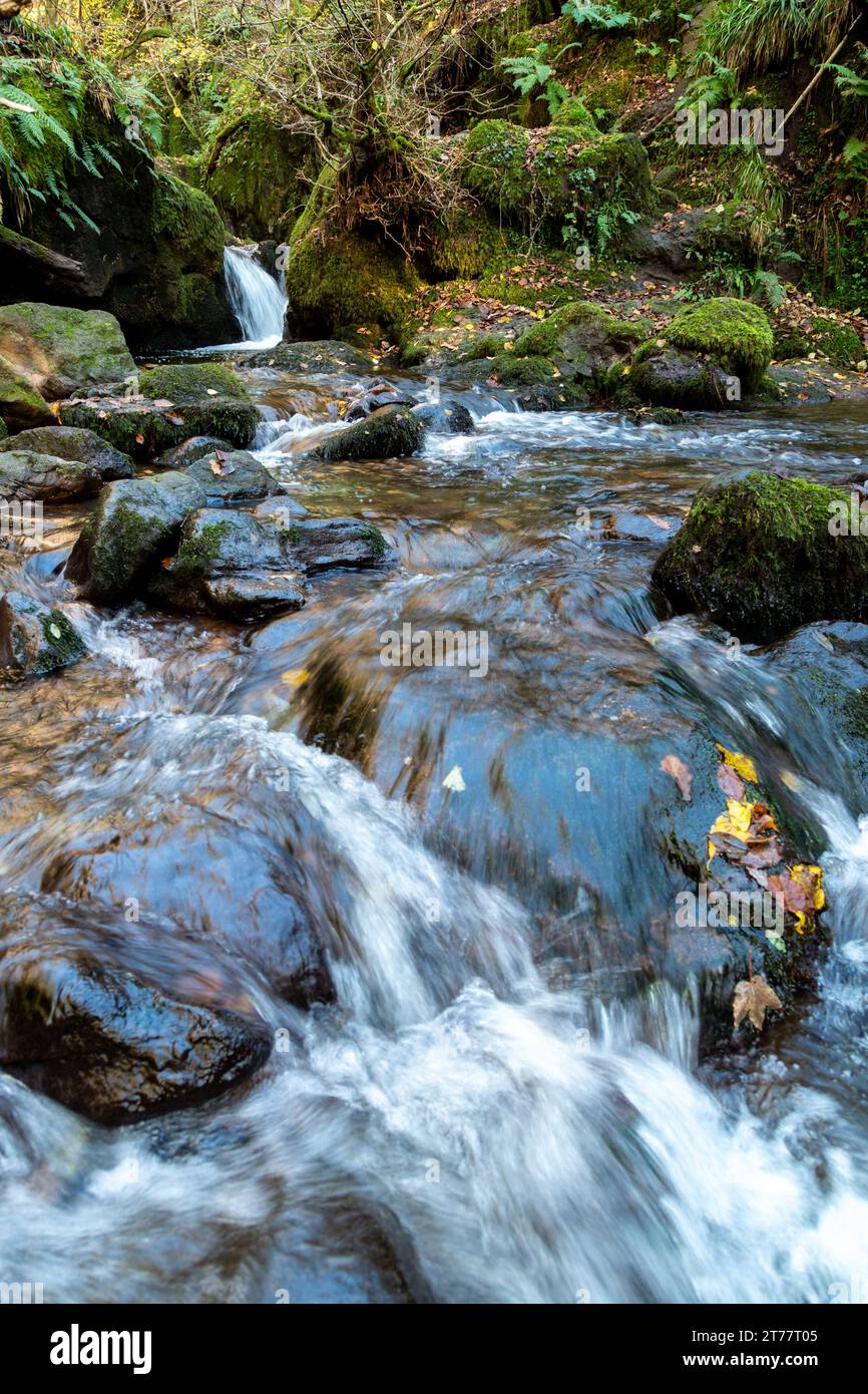 Dollar Burn à Dollar Glen, Dollar, Clackmannanshire, Écosse Banque D'Images