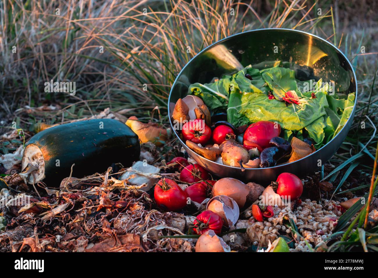 Tas de compost, déchets organiques en déchets biodégradables comme les légumes