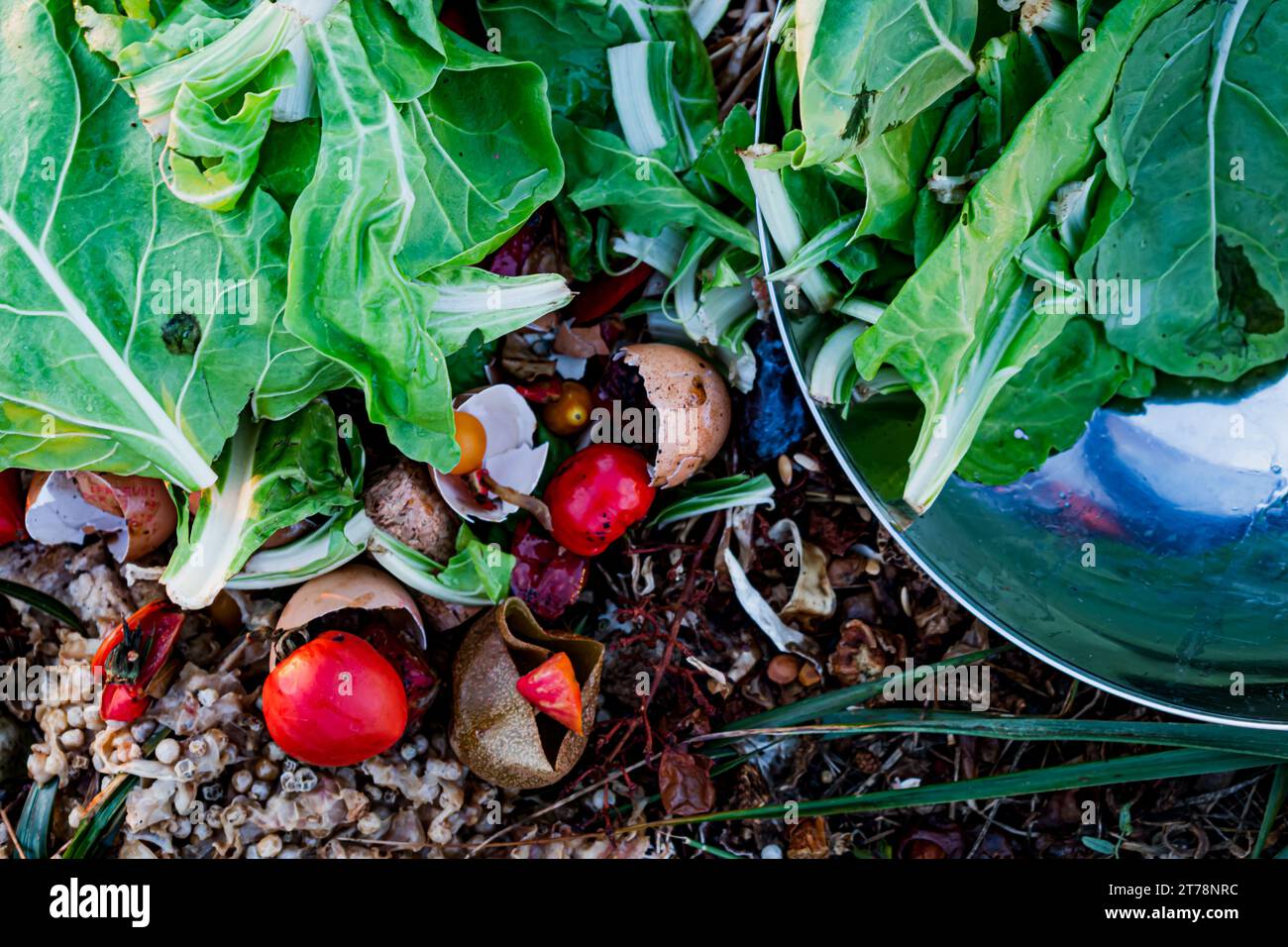 Tas de compost, déchets organiques en déchets biodégradables comme les légumes