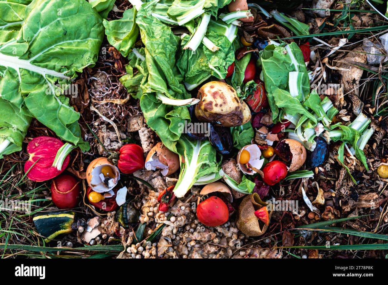 Tas de compost, déchets organiques en déchets biodégradables comme les légumes