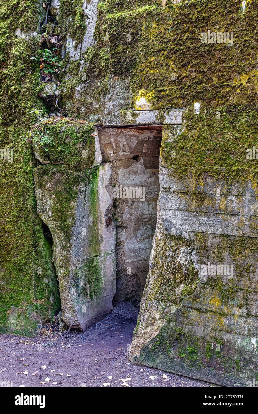 Wolf's Lair est une ville de bunkers entourée de forêts, de lacs et de marécages. C'est le plus grand et le plus reconnaissable commandement sur le terrain d'Adolf Hitler. Banque D'Images