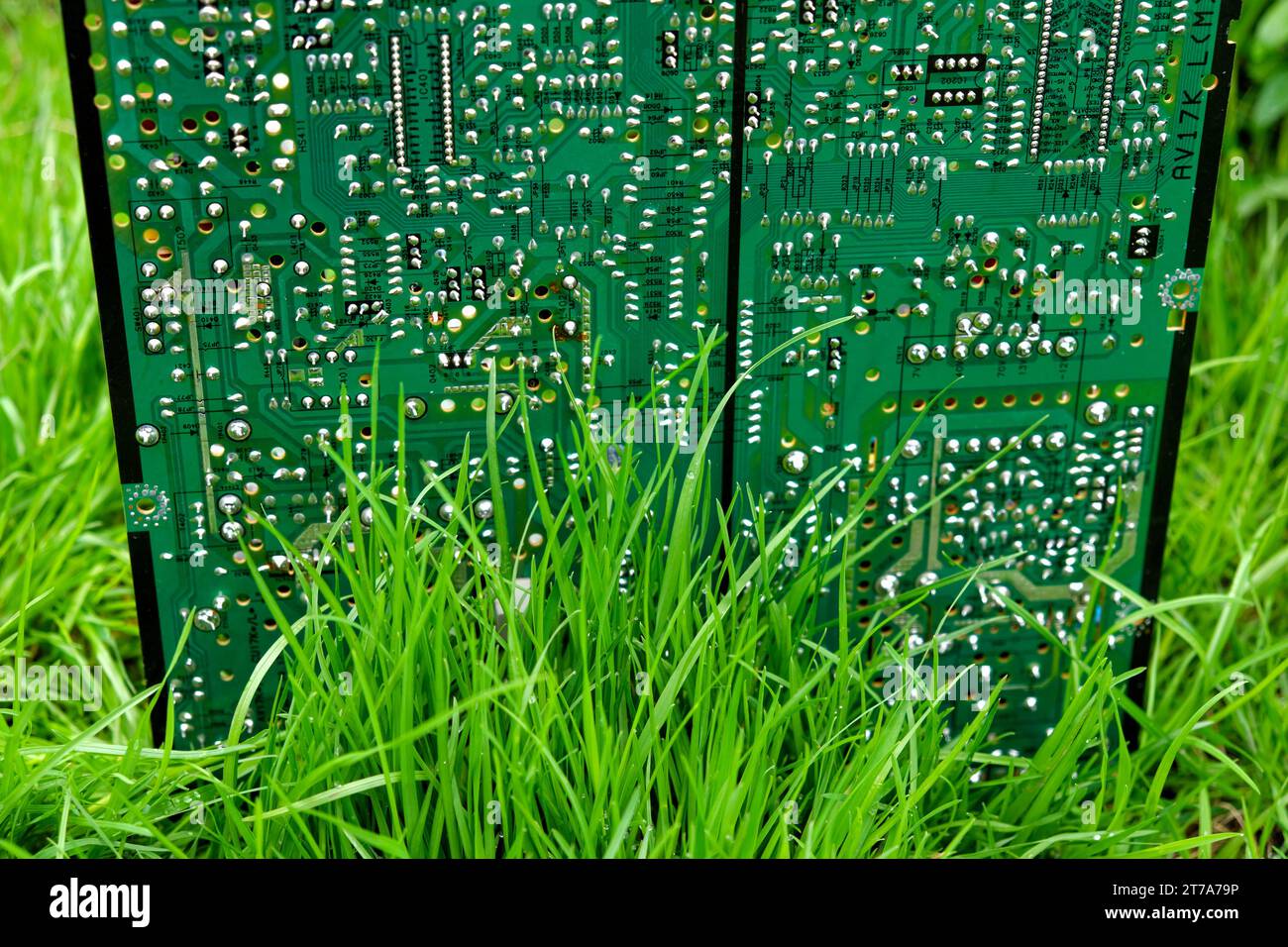 Une vue détaillée d'un circuit imprimé vert avec de l'herbe à proximité immédiate. Banque D'Images