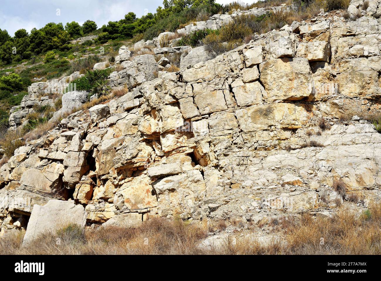 Calcaire (carbonate de roche sédimentaire) avec des joints. Cette photo a été prise dans le Parc naturel de la Serra d'Irta, Castelló, Comunitat Valenciana, Espagne. Banque D'Images